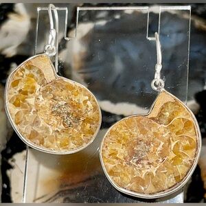 “Guidance Stone” Ammonite Earrings 1 7/8”